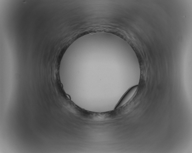 X0000111450235200907131047