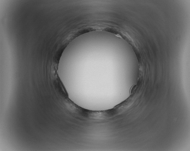 X0000111450237200907131047