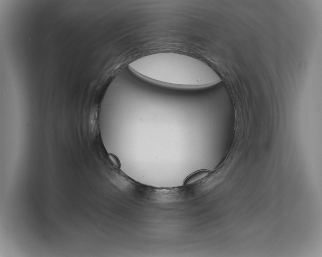 X0000111450240200907131047