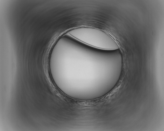X0000111450241200907131046