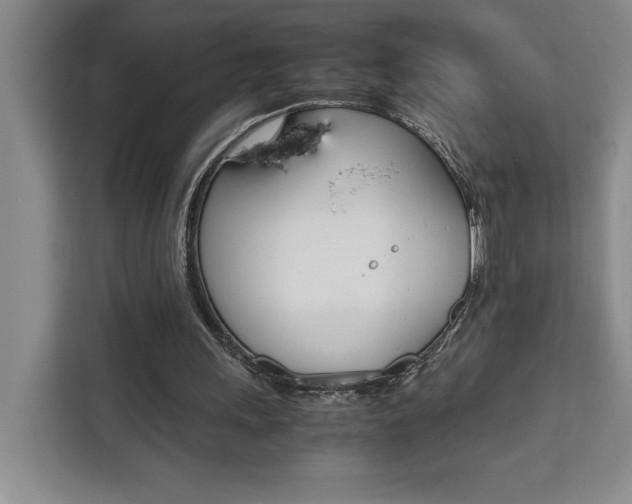 X0000111450243200907131046