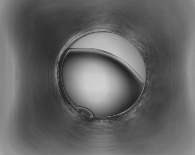 X0000111450244200907131046