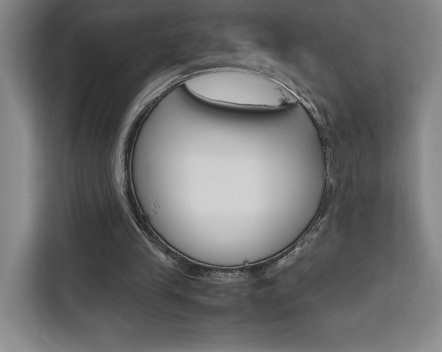X0000111450245200907131046
