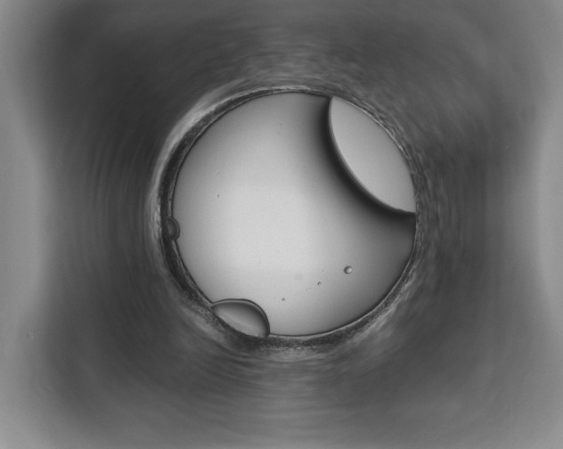 X0000111450246200907131046