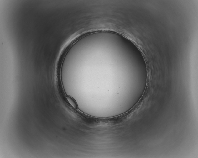 X0000111450248200907131046