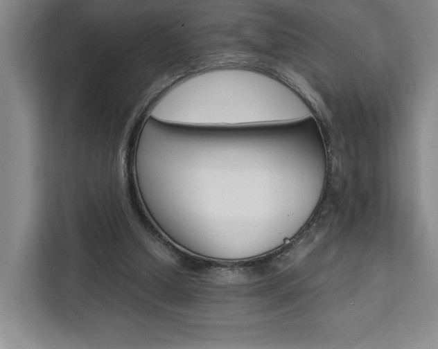 X0000111450250200907131046