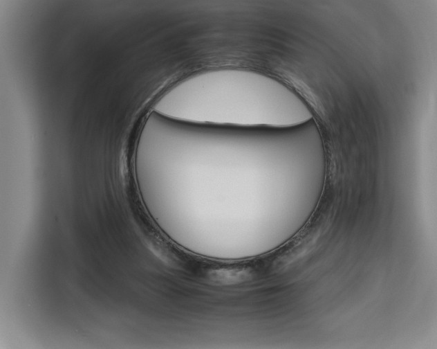 X0000111450251200907131046