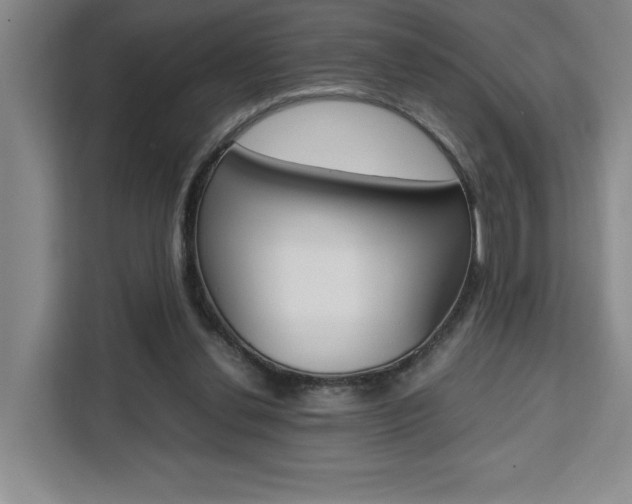 X0000111450252200907131046