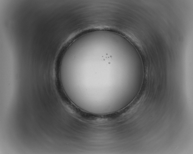X0000111450256200907131046