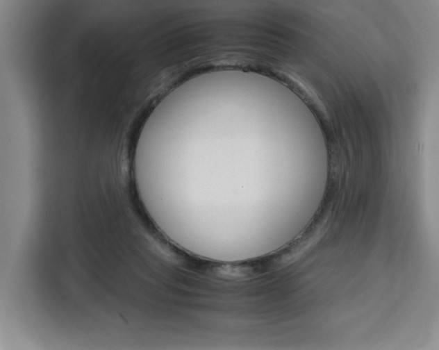 X0000111450261200907131047