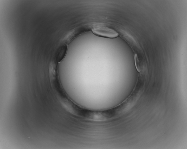 X0000111450264200907131047