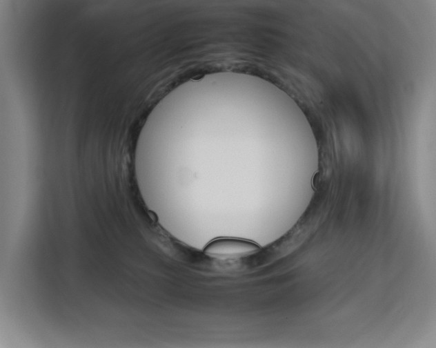 X0000111450279200907131047