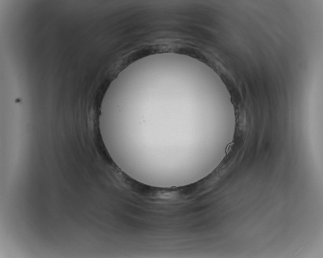 X0000111450283200907131047