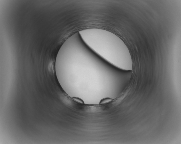 X0000111450286200907131047