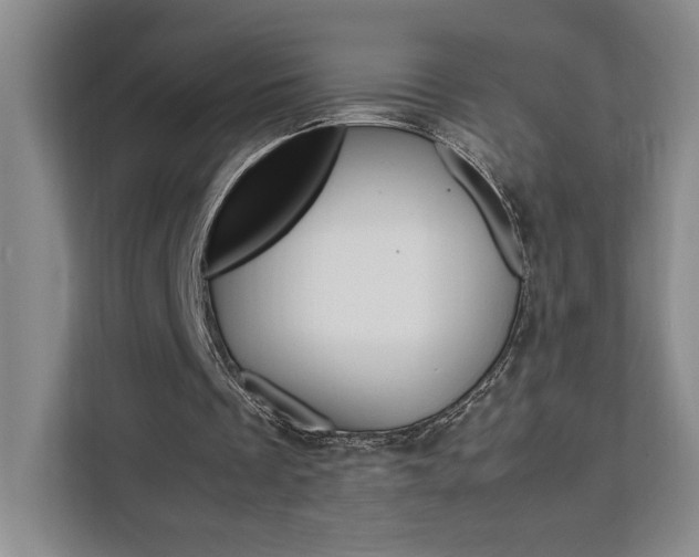 X0000111450289200907131046