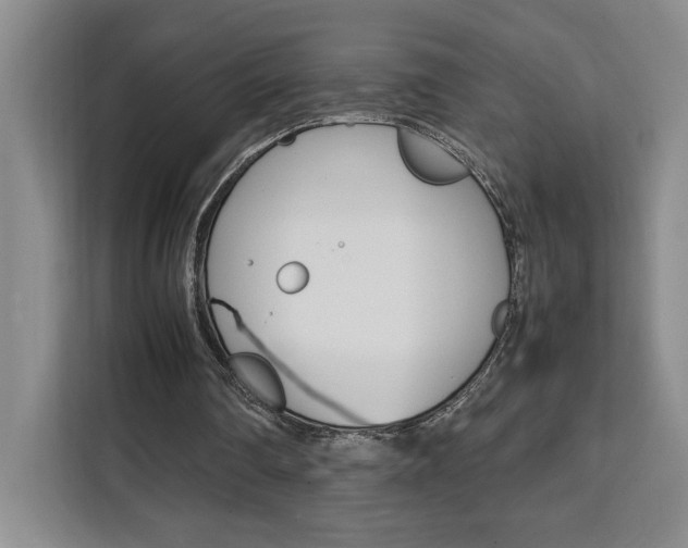 X0000111450290200907131046