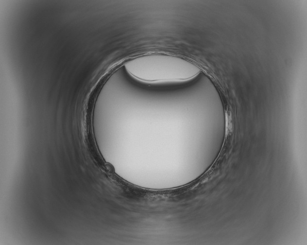 X0000111450291200907131046