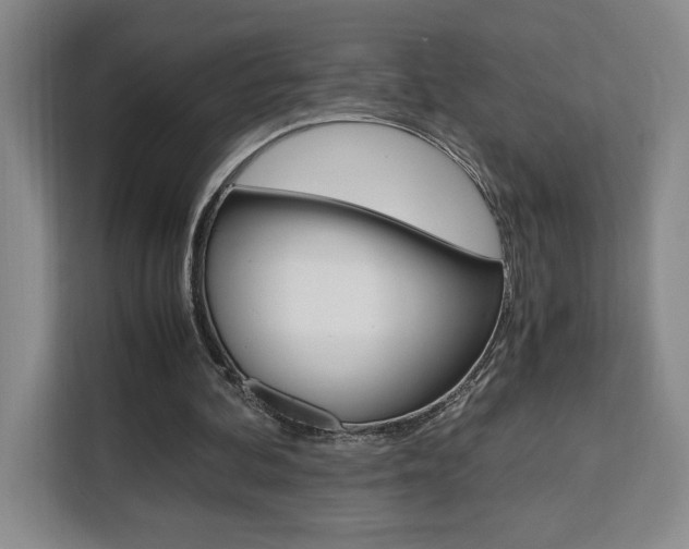 X0000111450292200907131046