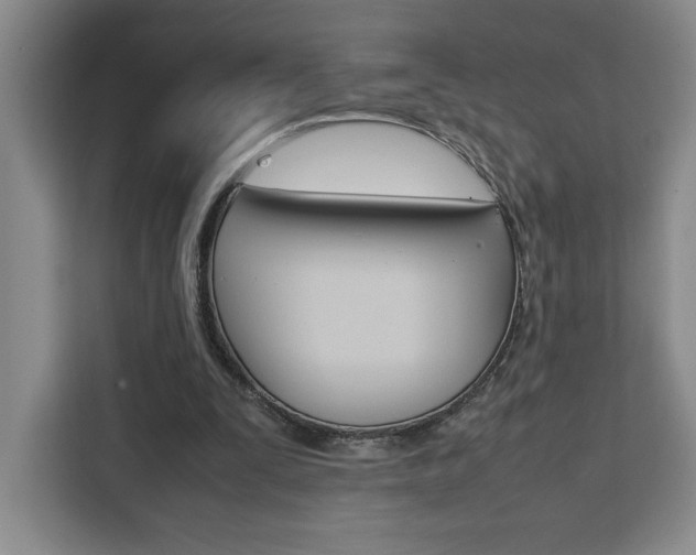 X0000111450295200907131046