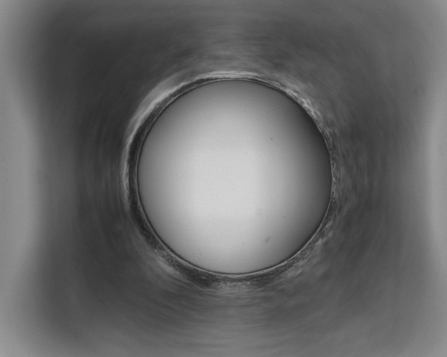 X0000111450296200907131046