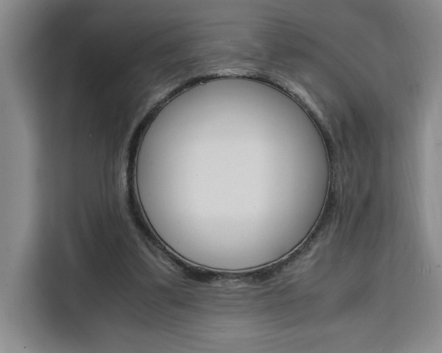 X0000111450299200907131046