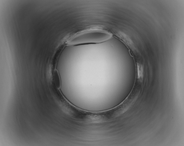X0000111450300200907131046
