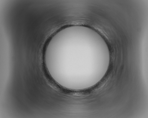X0000111450303200907131046