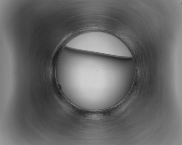 X0000111450304200907131046