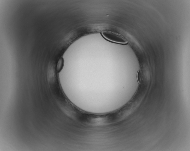 X0000111450312200907131046