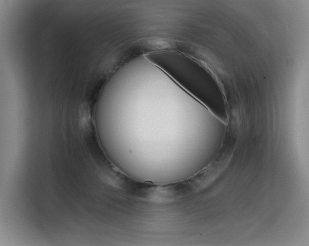 X0000111450320200907131046