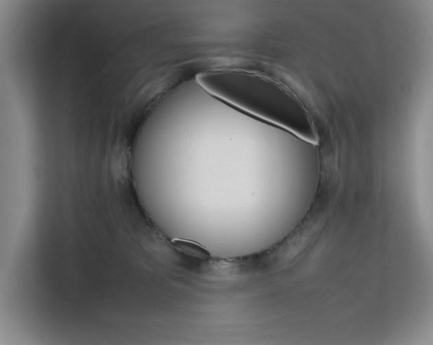 X0000111450325200907131046
