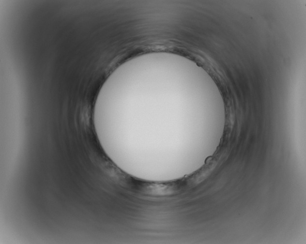 X0000111450326200907131046