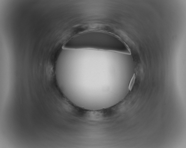 X0000111450327200907131046