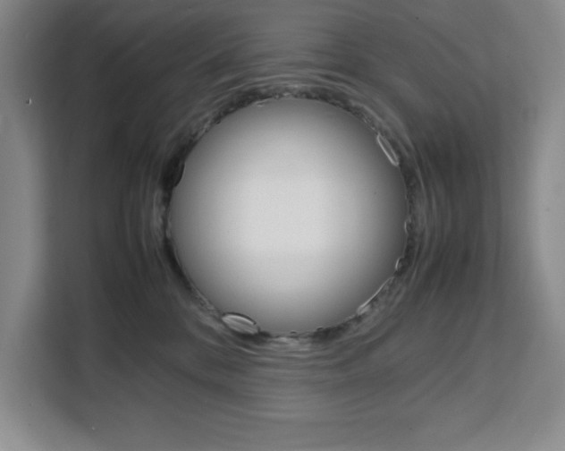 X0000111450328200907131046