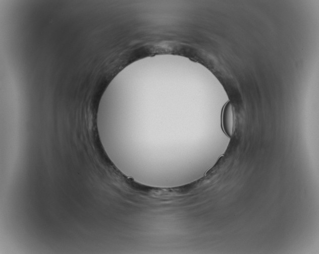 X0000111450331200907131046