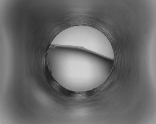 X0000111450333200907131046