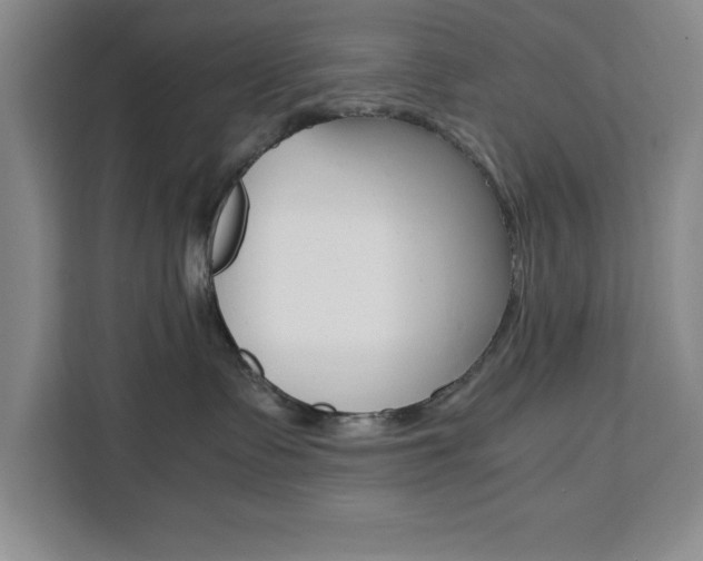 X0000111450335200907131046