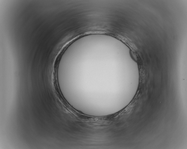 X0000111450338200907131045