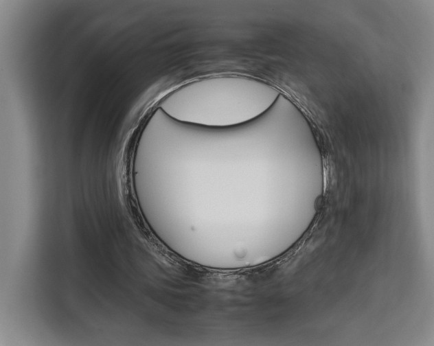 X0000111450339200907131045