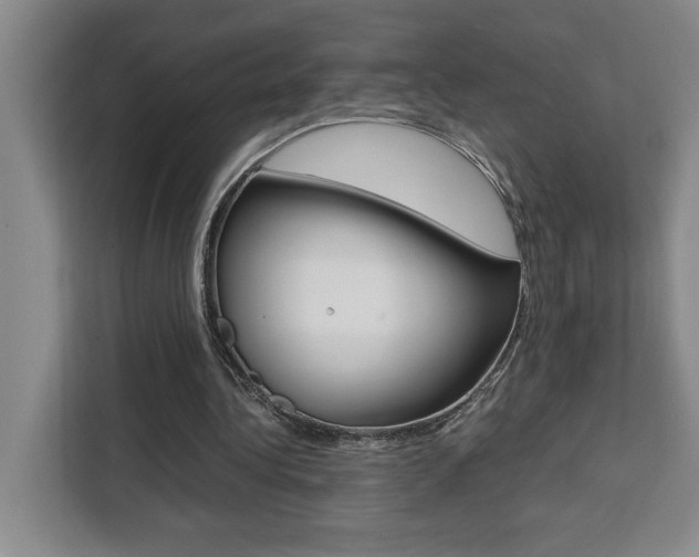 X0000111450340200907131045