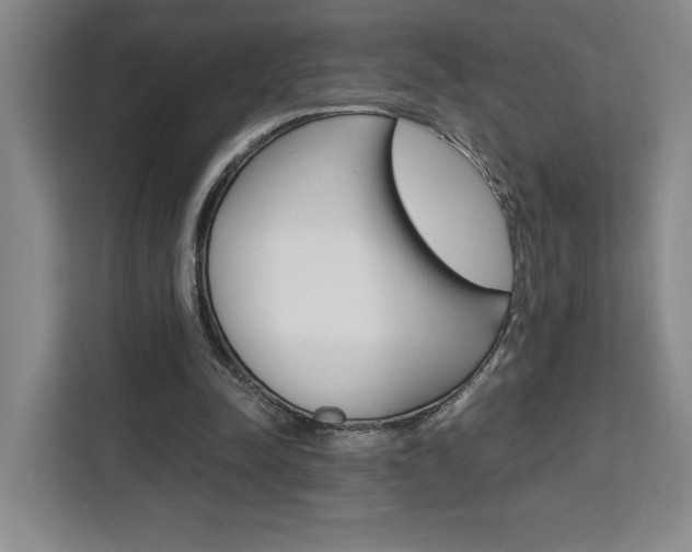 X0000111450342200907131045
