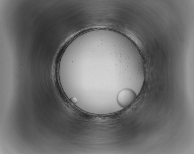 X0000111450346200907131045