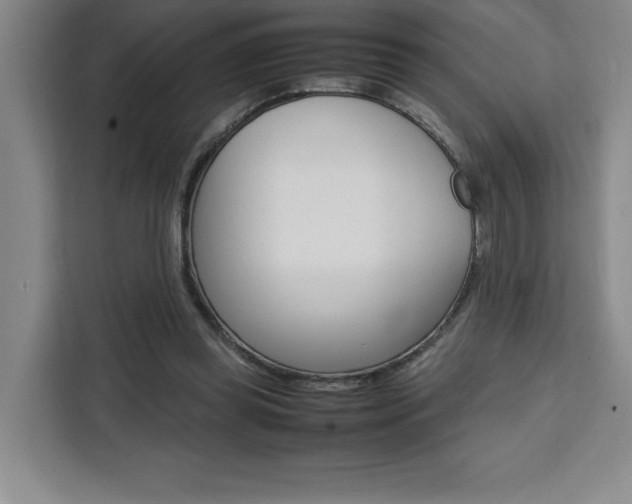X0000111450349200907131045