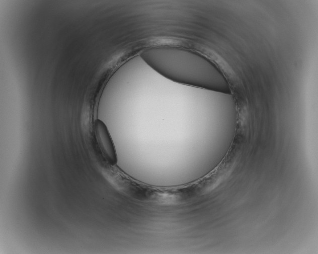 X0000111450352200907131045