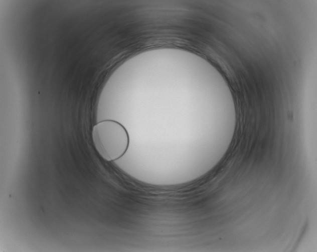 X0000111450356200907131045
