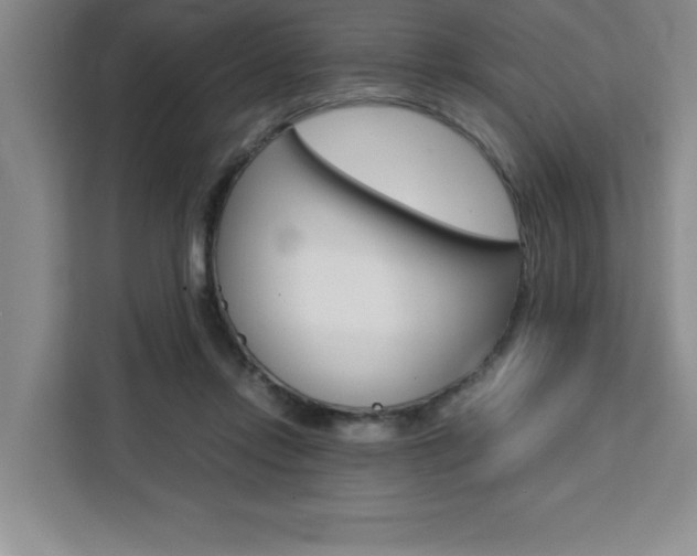 X0000111450358200907131045