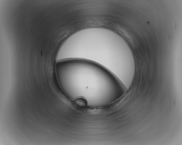 X0000111450362200907131045