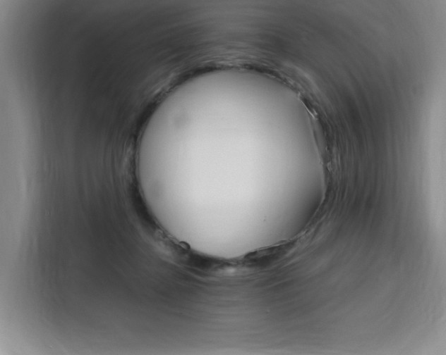 X0000111450364200907131045