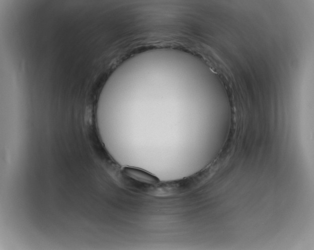 X0000111450368200907131045