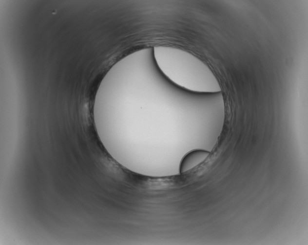 X0000111450378200907131046